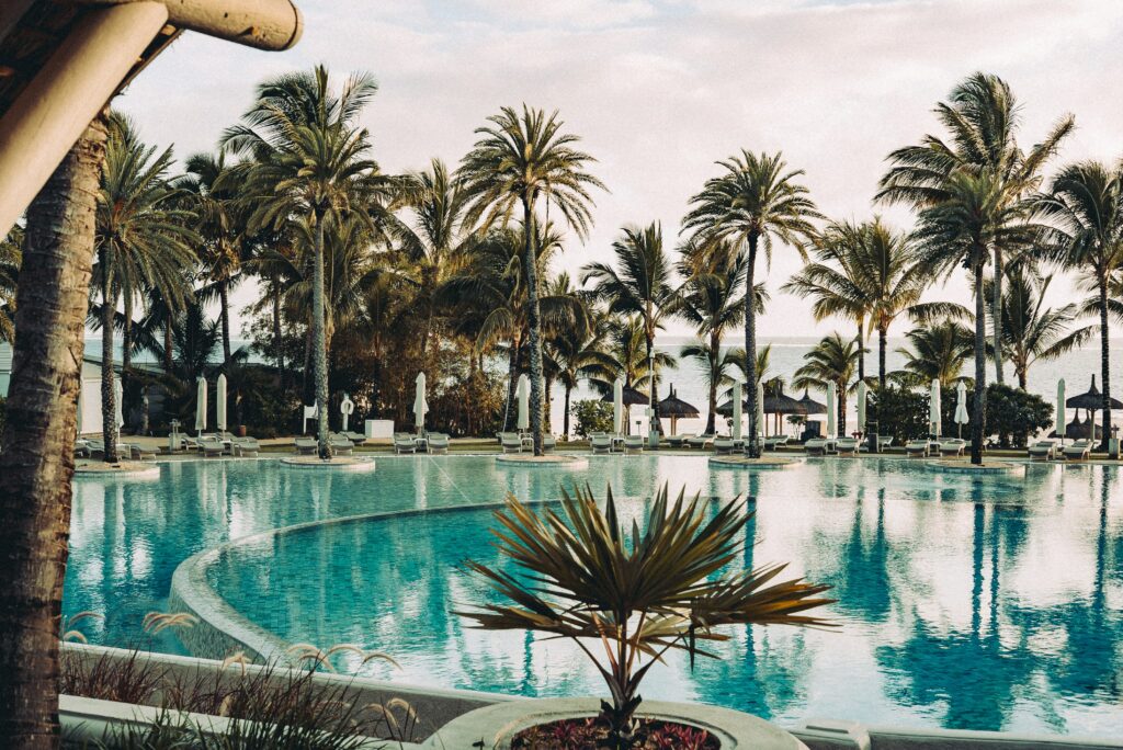 pool near trees during daytime