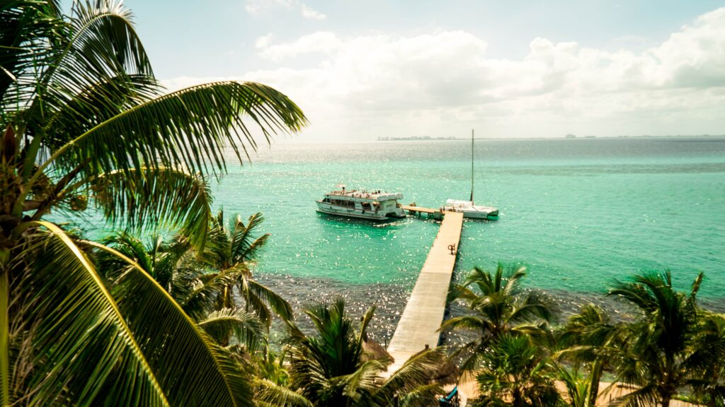 brown sea dock