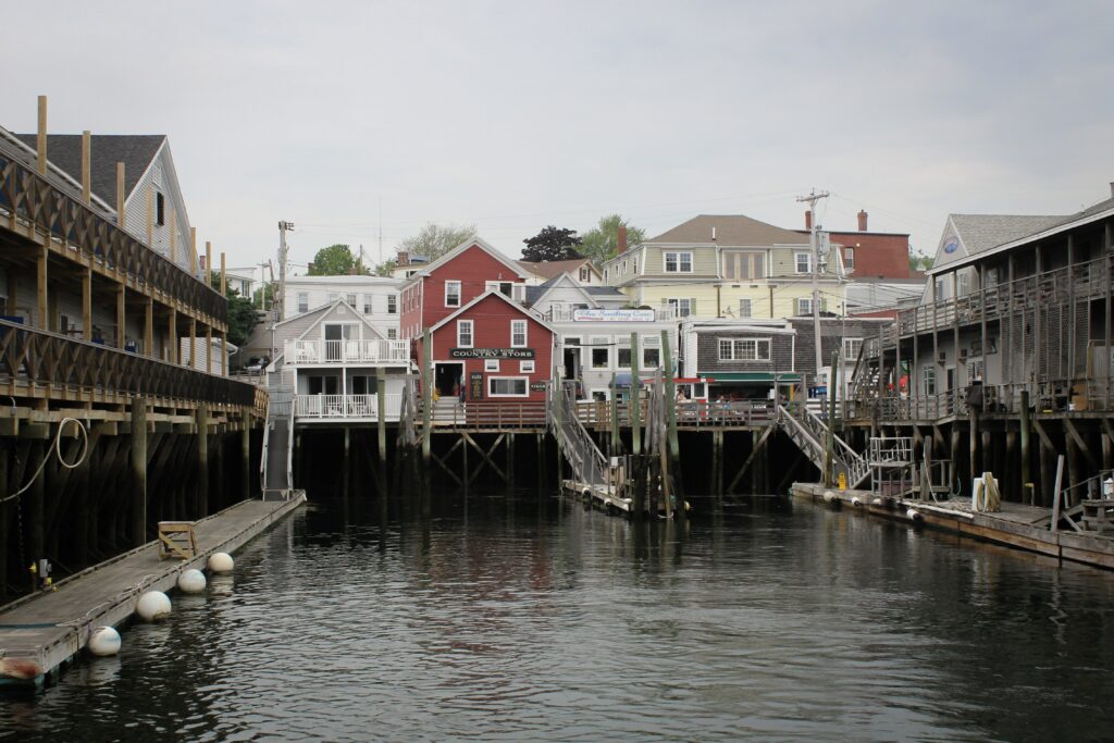 red and white houses beside water dock in daytime 