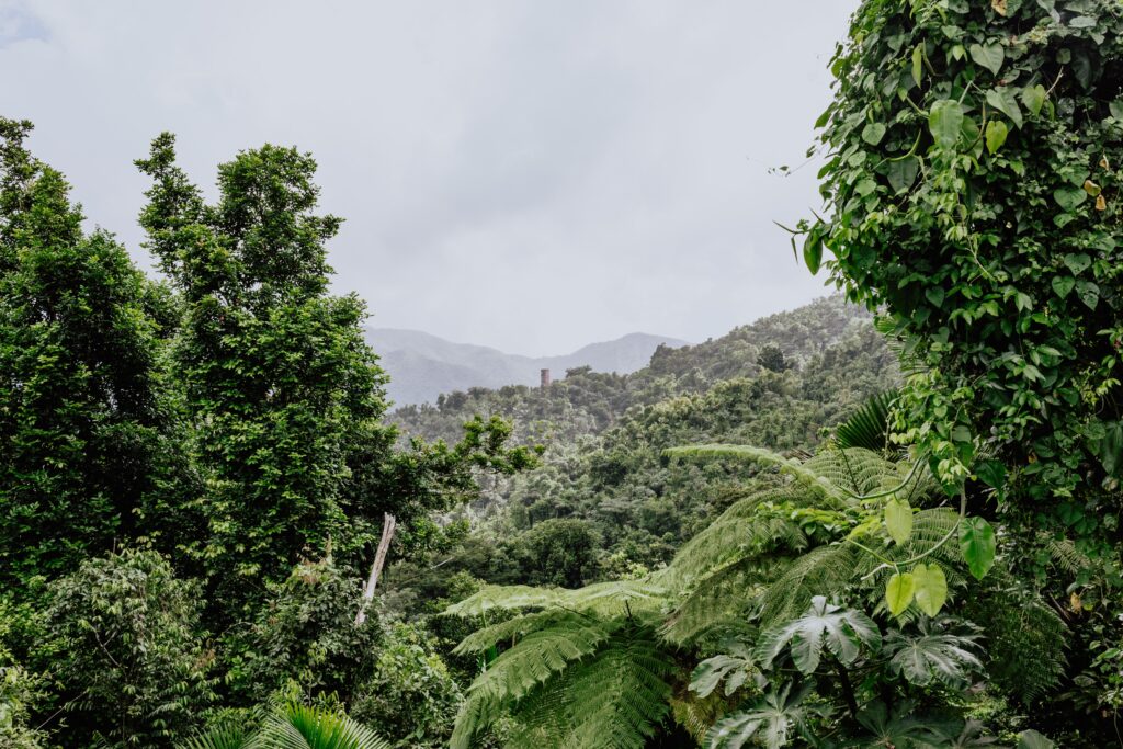 El Yunque