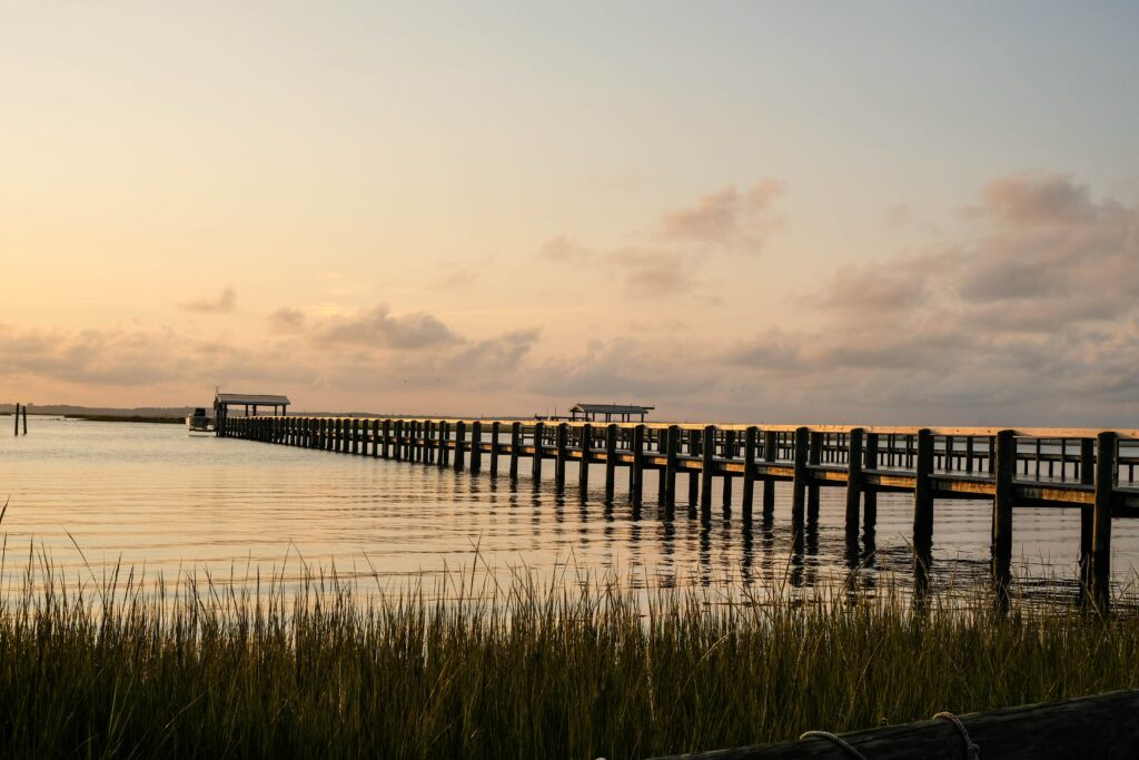 brown wooden dock on body of water during daytime