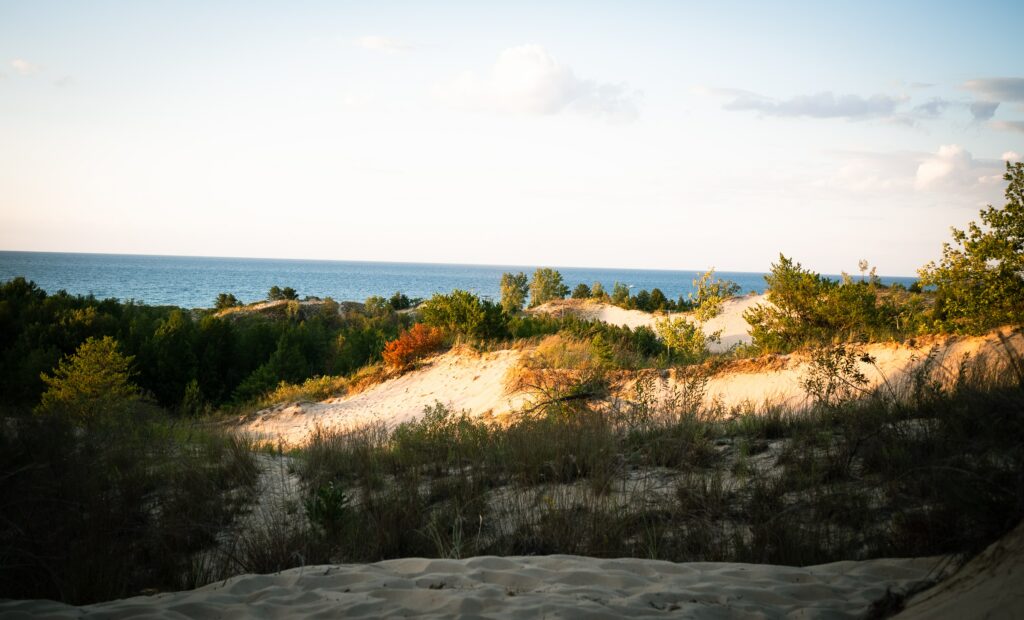 Indiana Dunes National Lakeshore