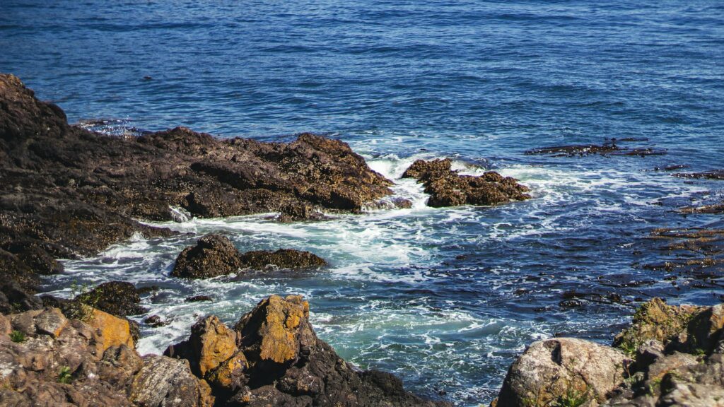 Image of the San Juan Islands, Washington