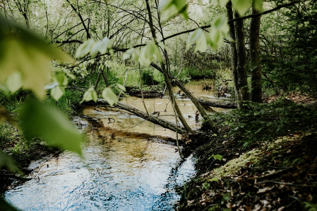 Summersville Wilderness
