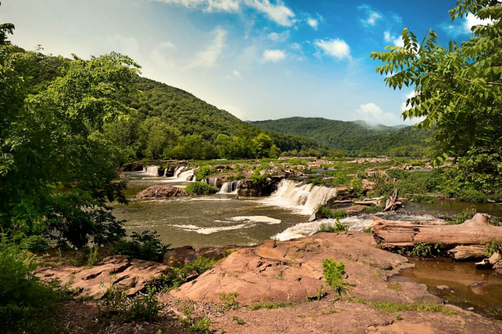 Lewisburg Wilderness
